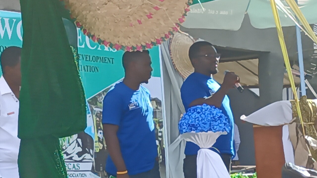 IMG20230325160938_01