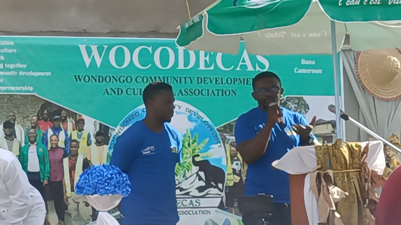 IMG20230325161117_01