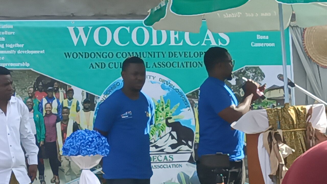 IMG20230325161138_01