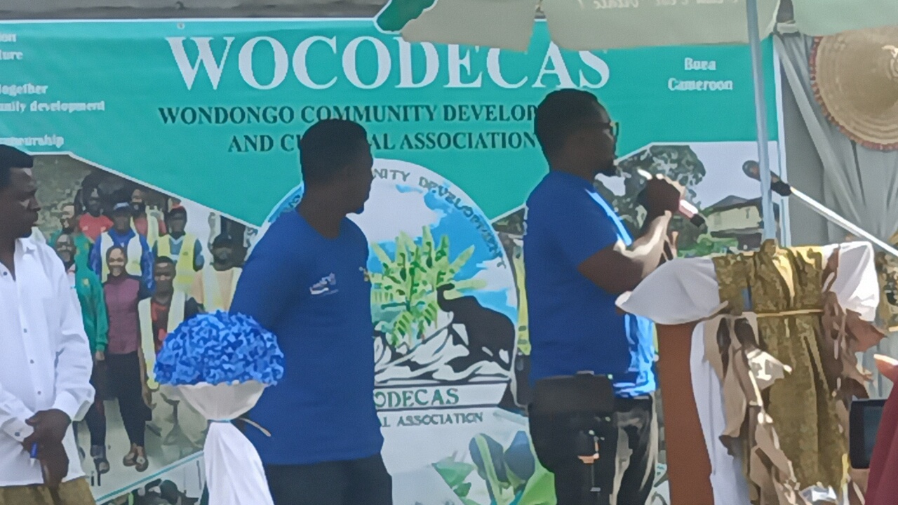 IMG20230325161144_01