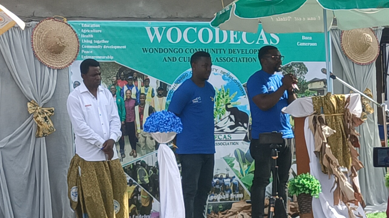 IMG20230325161225_01