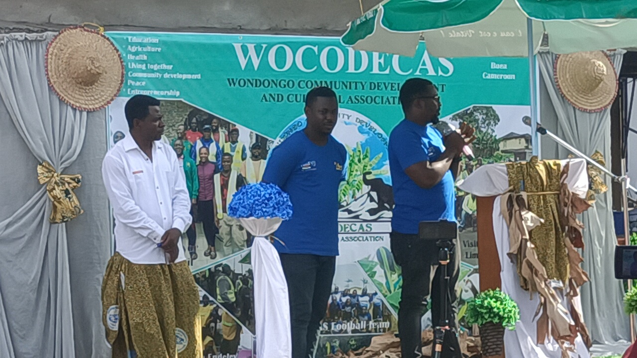 IMG20230325161232_01